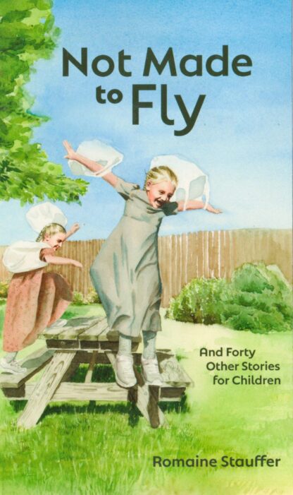 Not Made To Fly