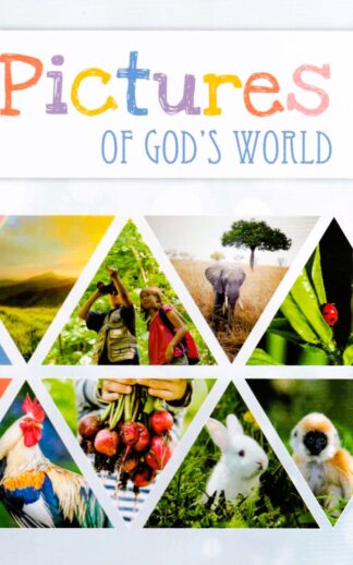 Pictures of Gods World
