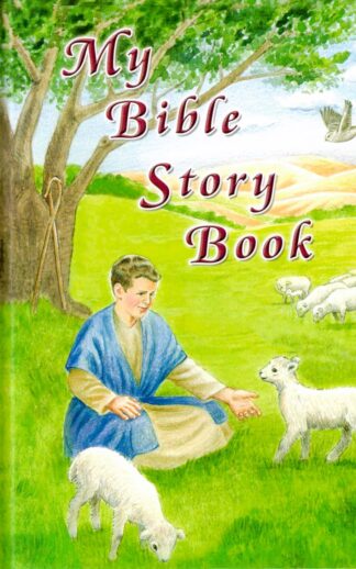 My Bible Story Book
