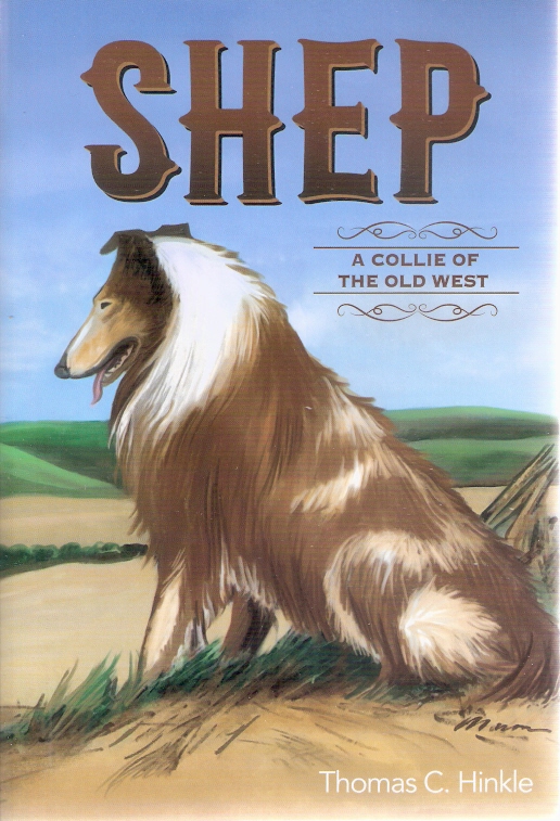 shep the sheepdog